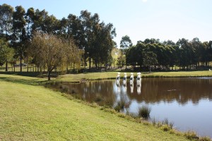 UWS 2012_7sm