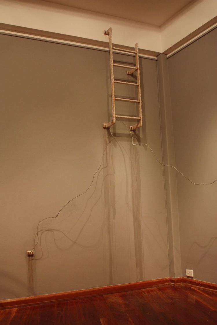 Grass is always greener5