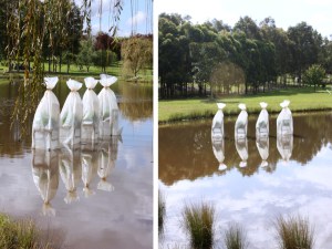 Kidall_Sally_In_The_Bag_are_we_sitting_comfortably? copy