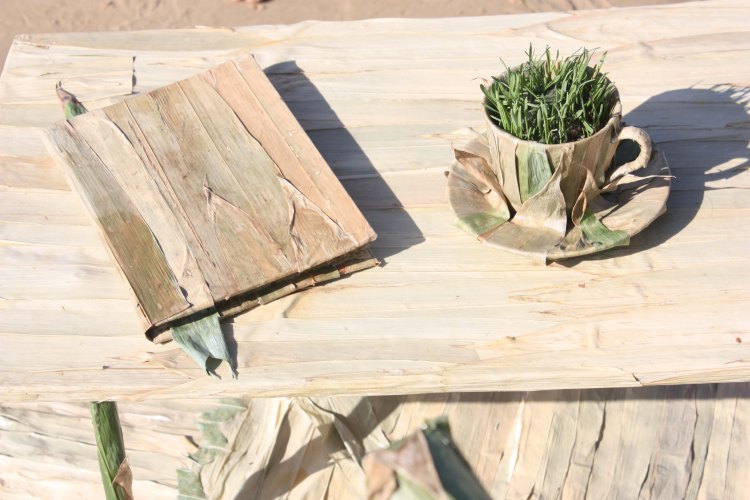 Kidall_Thirroul_2011_detail