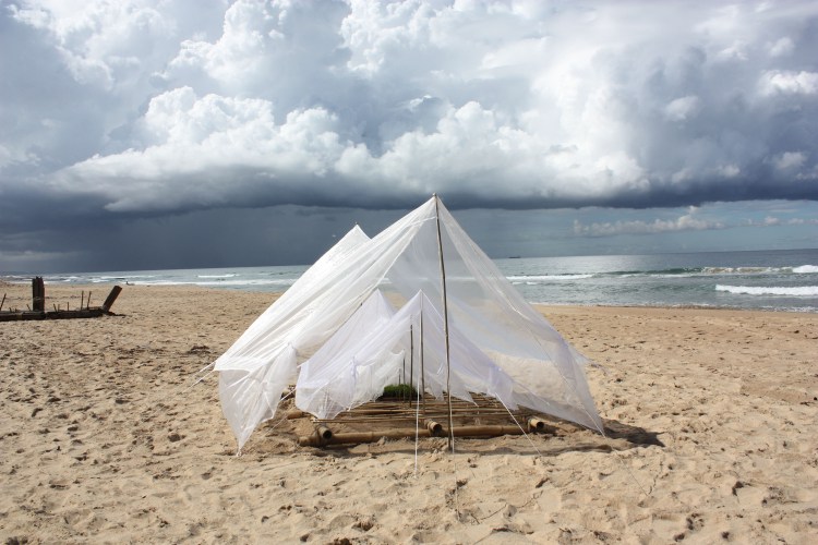 Thirroul Festival 2013sm