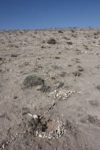 Grass is Always Greener_Part1B_detail