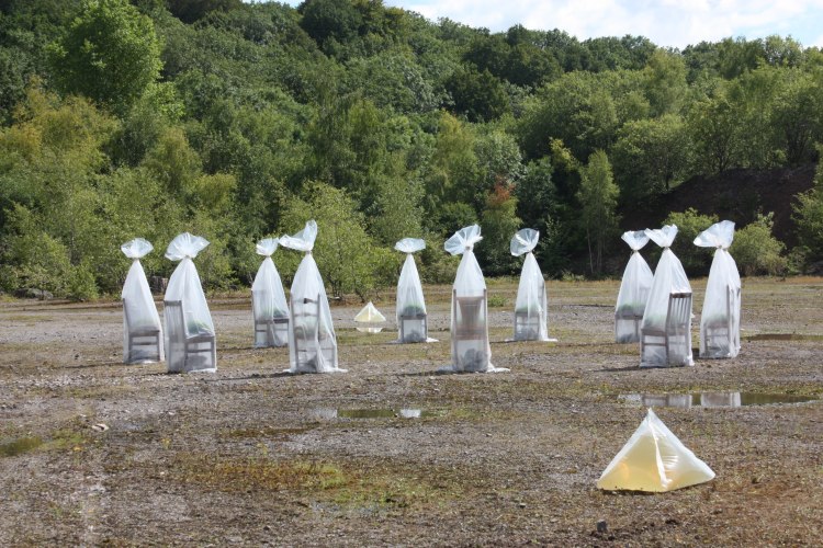 SM Lest We Forget 16