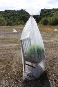 Lest We Forget_detail_new