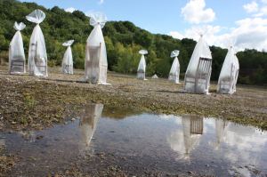 Lest We Forget_puddle_new