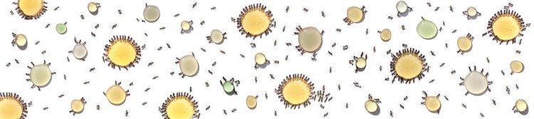 Brunswick Long2_final