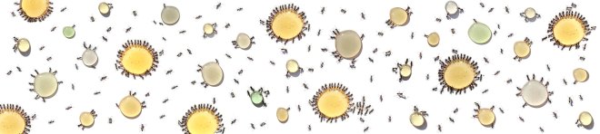 Brunswick Long2_final