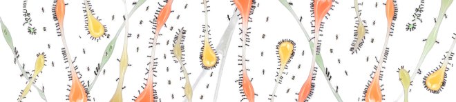 Brunswick Long3_final