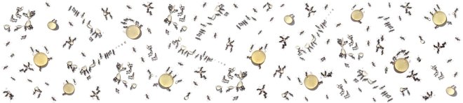 Brunswick Long7_final