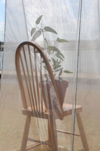 Lilyfield Road Bridge_Chair8_sm